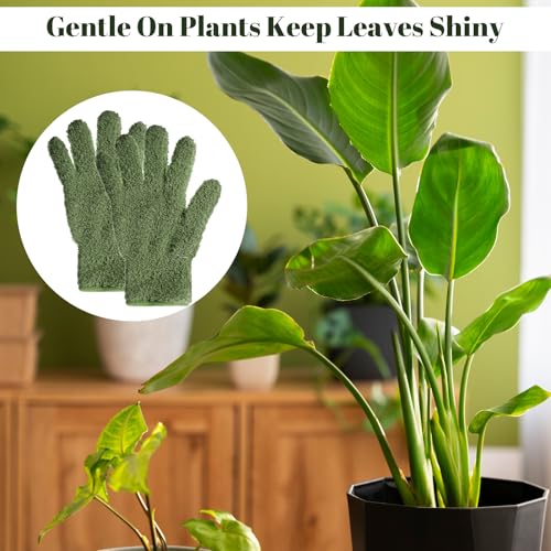 Dark Green Microfiber Dusting Gloves for Houseplants - 2 Pack