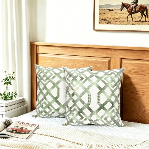 GOMYHOME Boho Geometric Throw Pillow Covers, Green 18x18 Set of 2