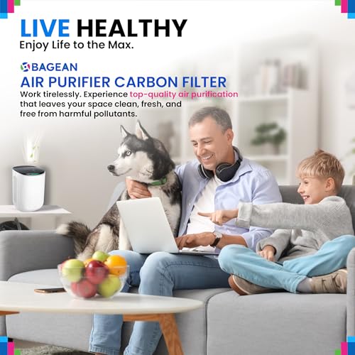 Bagean A2 F2 Activated Carbon Filters for Filtrete Air Purifier - 2-Pack