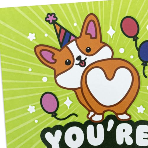 Hallmark Kids Birthday Card - You're Extra-Corgi-Nary with Stickers
