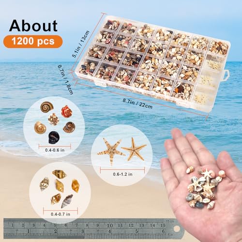 1200 Mini Seashells Set with Starfish for Crafting & Decor