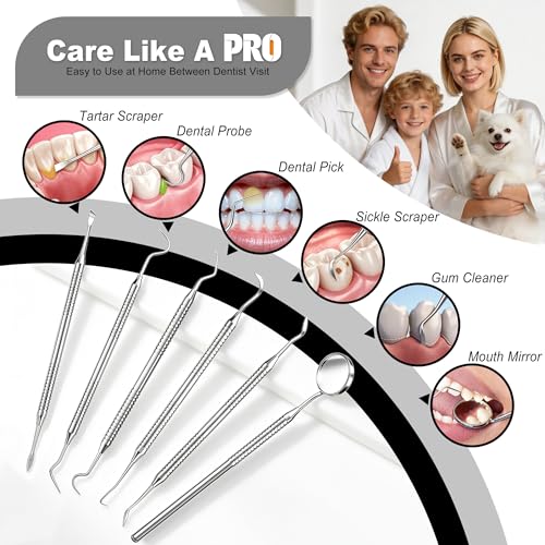 CATACC PRO 6-Piece Stainless Steel Dental Pick & Tartar Remover Kit