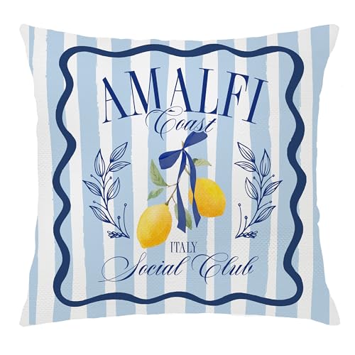Nipil Blue Coastal Lemon Pillow Cover 18x18 Summer Mediterranean Decor