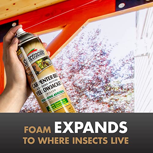 Spectracide Carpenter Bee & Yellowjacket Killer Foaming Aerosol - 16 Oz, 12 Pack