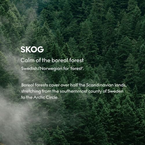 Skandinavisk Scented Candle - Forest (Skog) 2.3oz - Sustainable, Vegan, FSC Beechwood Lid