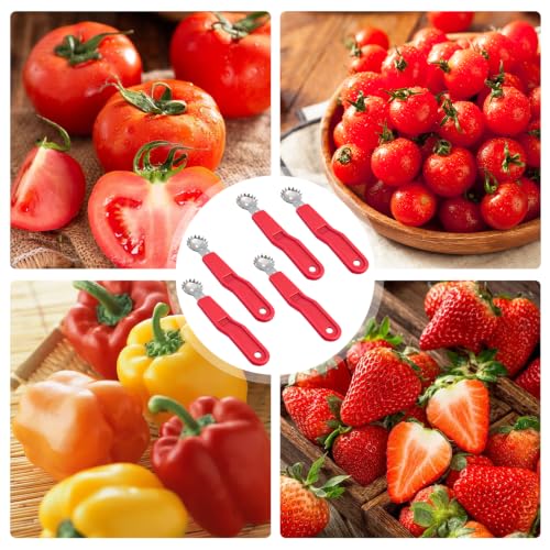 5-Piece Tomato and Strawberry Corer Tool, Red Stainless Steel Stem Remover