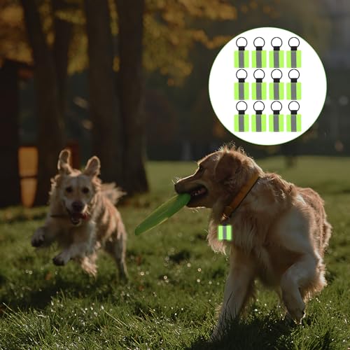 12 Pcs Reflective Keychain Tags, Bright Zipper Pulls Nylon Reflectors Tags for Safety Bag Backpack Pendant Glow In Dark Keychain Bag Charms for Kids Adults Dog Collar Zippers Decorations