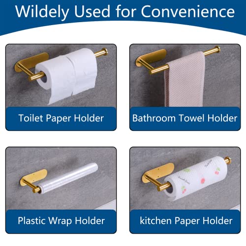 Stainless Steel Paper Towel Holder with 2 Hooks - Wall Mounted, Space Saving