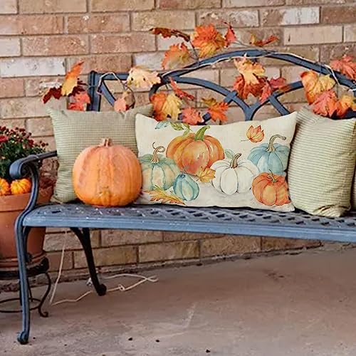 RABUSOFA Fall Pumpkin Pillow Cover, 12x20 Inch Autumn Thanksgiving Decor
