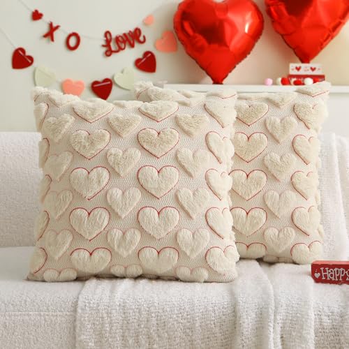 Valentine's Day Pillow Covers Set of 2 - 18x18 Inch Red Pink Heart Design