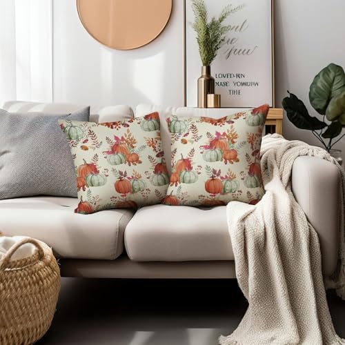 Autumn Pumpkin Pillow Covers Set of 2 - 18x18 Inch Decorative Cushions