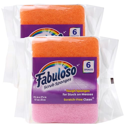 Fabuloso Scratch-Free Kitchen Dish Sponges, Rainbow, 12-Pack (6 Count, 2-Pack)