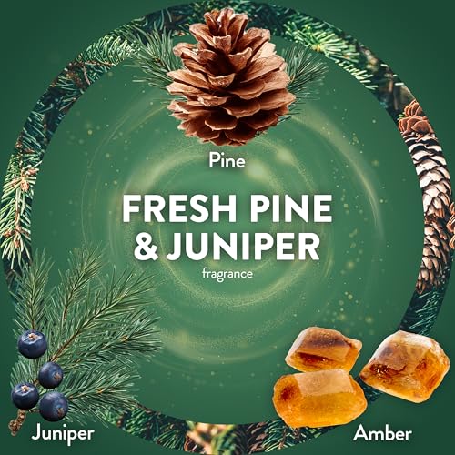 Air Wick Plug-In Scented Oil Refills, 4 Count, Fresh Pine & Juniper