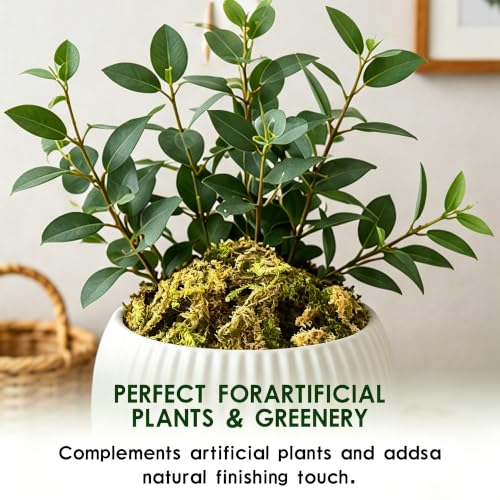 Natural Green Faux Moss - 200g Artificial Moss for DIY Decor