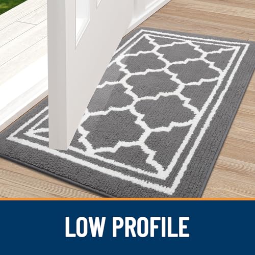 Buganda Indoor Doormat, Anti-Slip Low Profile Entryway Rug - 32x20, Grey
