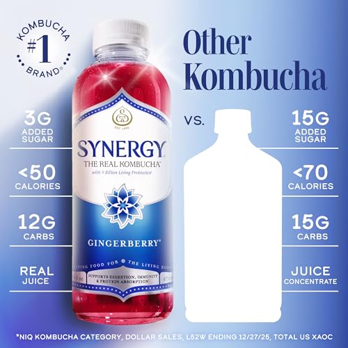 SYNERGY Gingerberry Kombucha - 16 fl oz Raw Probiotic Drink
