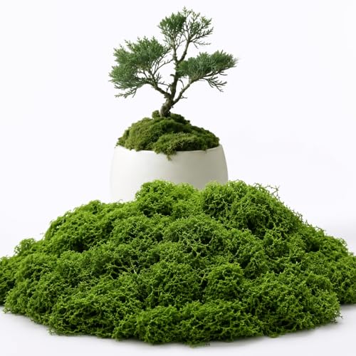 LUSTRIB 3.5 Oz Green Fake Moss for Crafts & Plant Decor