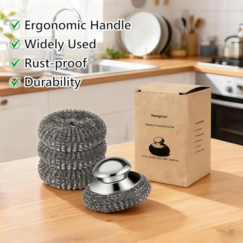 Stainless Steel Wool Scrubber with Handle - 1 Handle & 3 Replacement Pads
