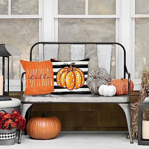 Orange Pumpkin Fall Throw Pillow Covers Set of 2 18x18 - PANDICORN Farmhouse Decor