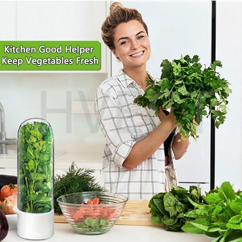 Herb Saver for Refrigerator - Fresh Herb Keeper Container for Cilantro, Parsley, Mint, Asparagus