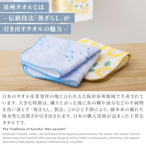NOREN Japanese Cotton Hand Towel & Washcloth - Quick Dry, Ultra Soft