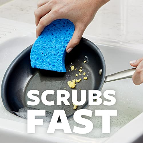Scotch-Brite Non-Scratch Scrub Dots Sponge Pack of 2 (3 Sponges)