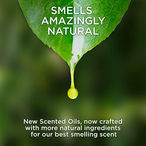 Air Wick Scented Oil Refill, Fresh Peach and Sweet Nectar, 2 Pack