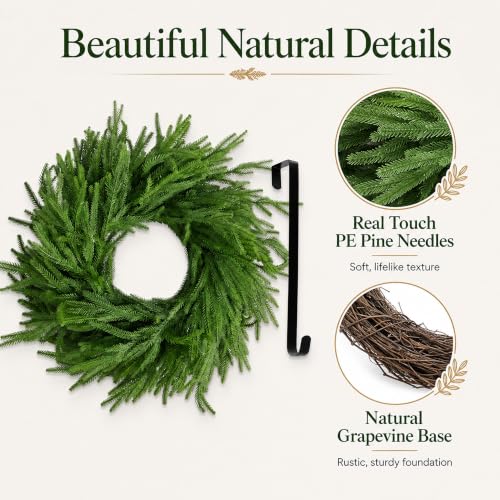 24 Inch Real Touch Norfolk Pine Wreath with Grape Vine Base and Hanger