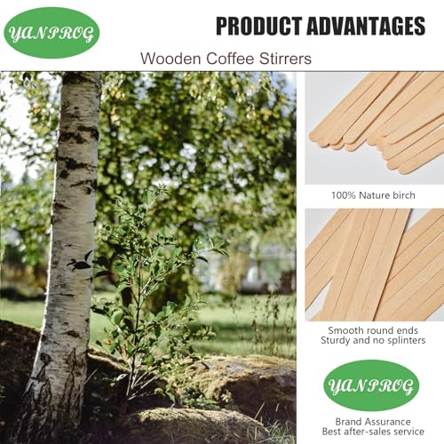 Natural Birch Coffee Stirrers 5.5" - 100 Eco-Friendly Stir Sticks