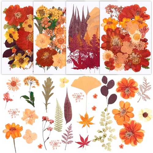 100 Pcs Real Natural Dried Pressed Flowers – Orange Botanical Decor
