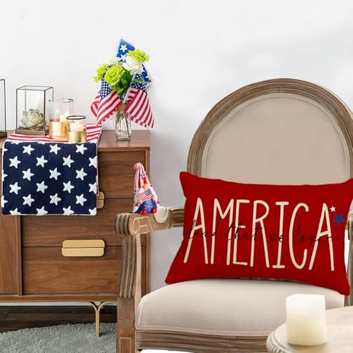 RABUSOFA 4th of July Patriotic Throw Pillow Cover 12x20 Inch Outdoor Sofa Decor