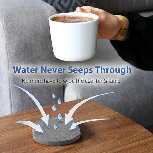 Diatomite Coasters - Fast Drying Absorbent Stone Coasters (4 Pack)