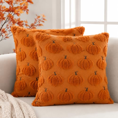 HOSHEN HOME Orange 3D Pumpkin Fall Pillow Covers - 18x18 Set of 2