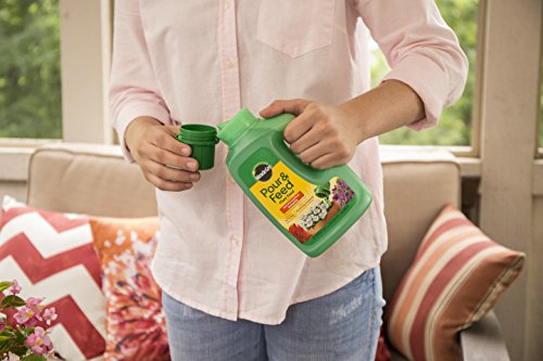Miracle-Gro Liquid Plant Food 32 oz - Ready to Use, Pack of 2