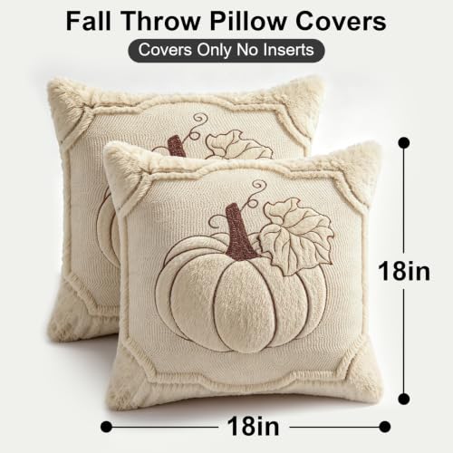 18x18 Fall Pumpkin Pillow Covers Set of 2 - Beige Embroidered