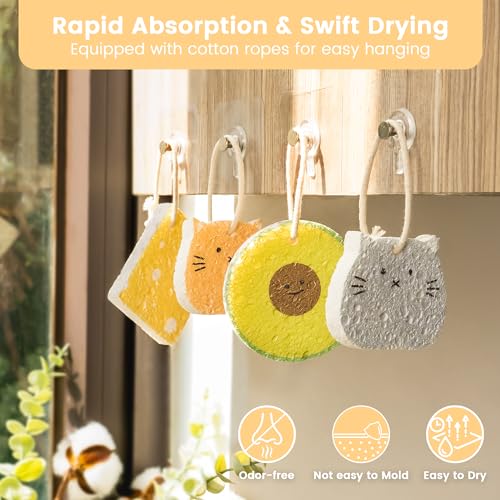 Leafre Cellulose Compressed Sponges - Avocado Sandwich Set, 10 Pack