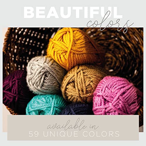 Lion Brand Super-Bulky Hometown Yarn - Louisville Julep (Pack of 2)