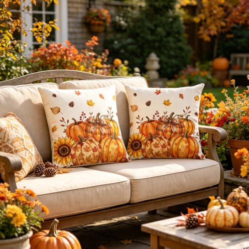 Fall Orange Floral Pumpkin Throw Pillow Covers 20x20 Inch Set of 2