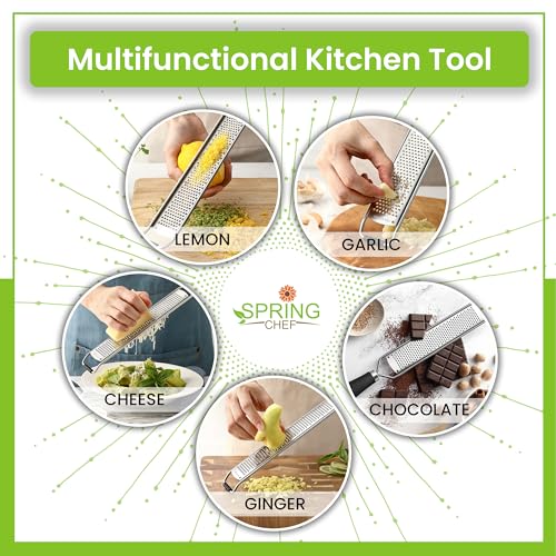 Spring Chef Black Stainless Steel Lemon Zester & Garlic Grater - Kitchen Tool