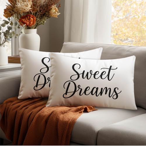 HOMETITUTE Lumbar Pillow Covers Pack of 2 - Satin 12x20 Inch Sweet Dreams Design