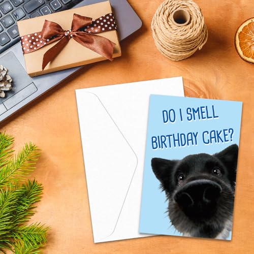 Funny Birthday Card with Glitter & Envelope - 8x5.3 Inch Humor