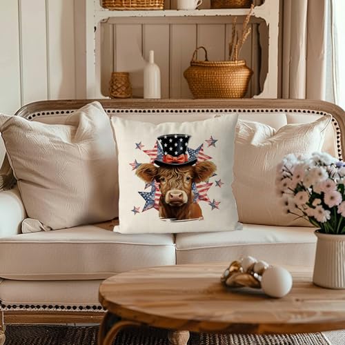 18x18 Inch American Patriotic Pillow Cover - 4th of July Throw Cushion