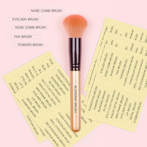 HVSWLY 210 Pcs Waterproof Makeup Brush Name Labels Clear Self-Adhesive