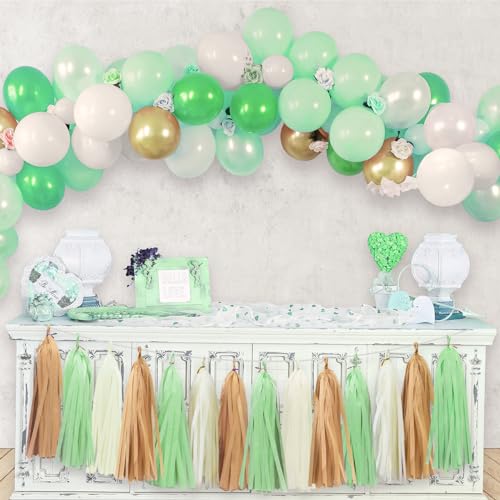 Aonor Gold Ivory and Pale Green Tissue Paper Tassel Garland 15PCS