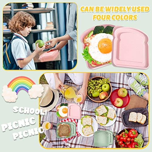 Reusable Sandwich Containers for Lunch - BPA-Free, Microwave Safe