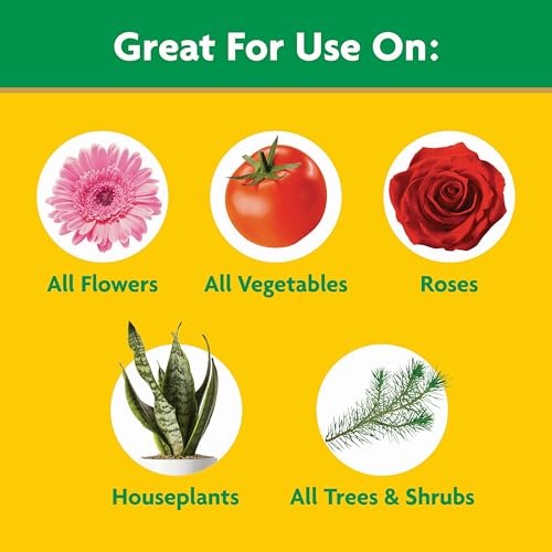 Miracle-Gro Water Soluble All Purpose Plant Food - 1.5 lb Fertilizer for All Plants
