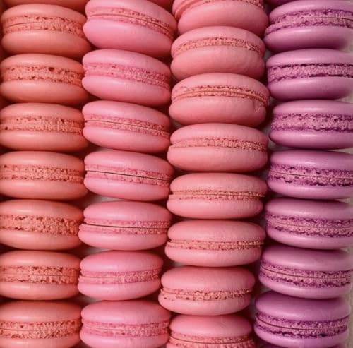 AmeriColor Dusty Rose Soft Gel Paste Food Color - .75 oz