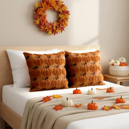 Thmyo Caramel Pumpkin Fall Pillow Covers 18x18 Inch 2-Pack Halloween Thanksgiving Decor