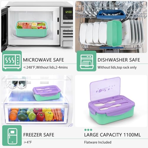 LOVINA 3-Compartment Bento Box - 1100ml Leakproof Lunch Container, Purple Green