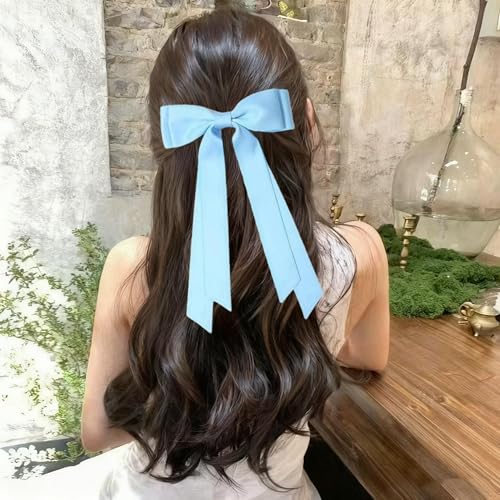 Satin Hair Bows Clips for Women and Girls, Blue and Brown Hair Ribbons, 2PCS